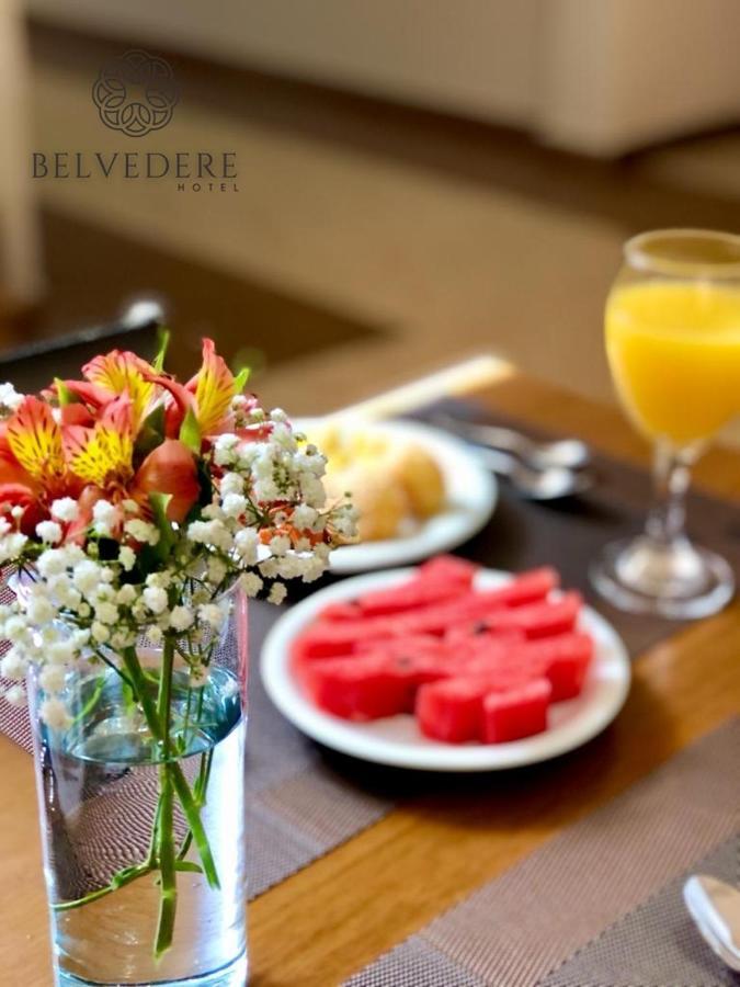 Hotel Belvedere Araras - Facil Acesso Hospital Sao Leopoldo E Faculdades المظهر الخارجي الصورة